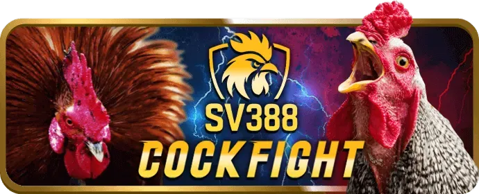 Ưu đãi hoàn trả và tiền thưởng độc quyền sx88